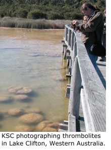 Kevin Cummings photographing thrombolites in Lake Clifton, Western Australia.