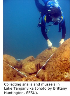 Collecting snails and mussels in Lake Tanganyika.