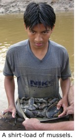 A shirt-load of mussels.