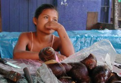 little girl selling giant snails