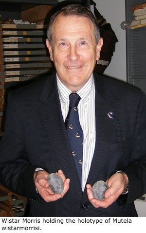 Wistar Morris holding the holotype of Mutela wistarmorrisi.