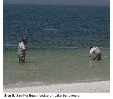 Site 8. Samfya Beach Lodge on Lake Bangweulu.