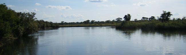 The Lukulu River near its confluence with the Chambeshi.