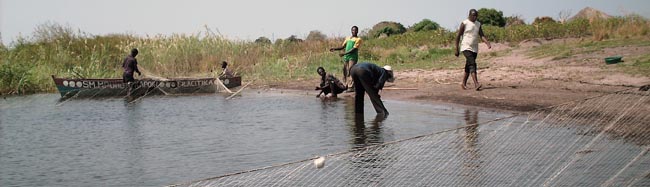 Ernest sampling among the fishermens' nets.