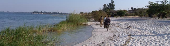 Along the shore of Lake Bangweulu near Samfya.